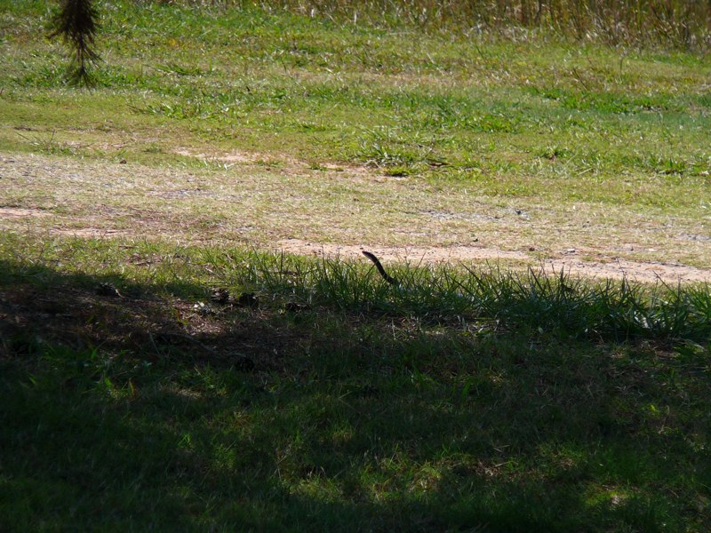 image02